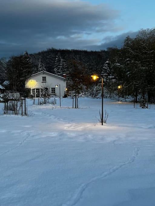 Landhaus „Blattgold“ Lohme Exterior foto